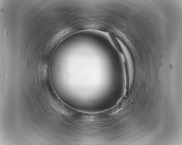 X0000086960071200704231501