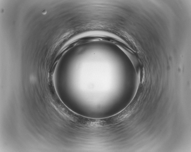 X0000086960072200704231501