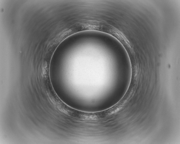 X0000086960073200704231501
