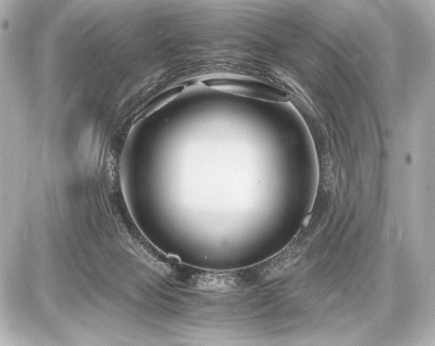 X0000086960077200704231501