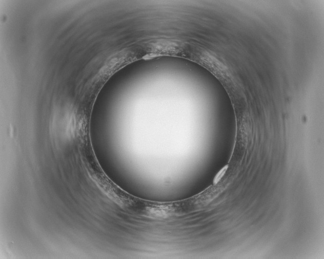 X0000086960079200704231501