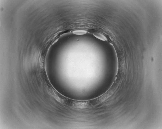 X0000086960081200704231501