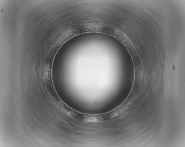 X0000086960083200704231501