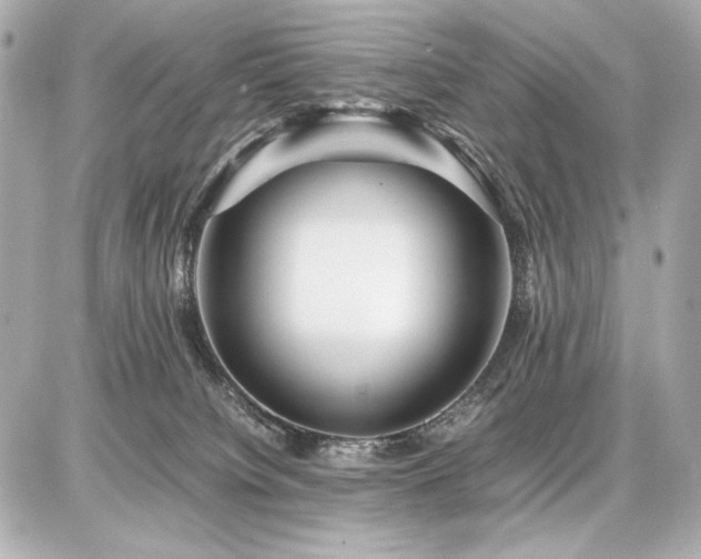 X0000086960084200704231501