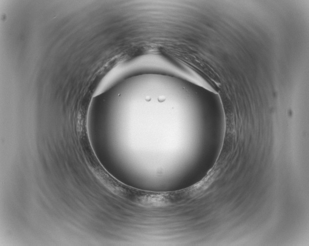 X0000086960086200704231501