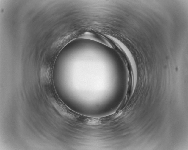 X0000086960088200704231501