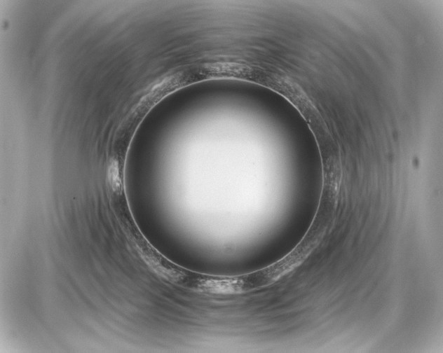 X0000086960089200704231501