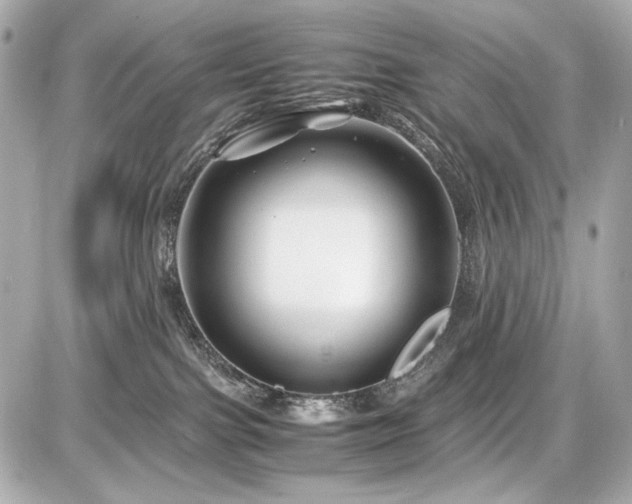 X0000086960091200704231501