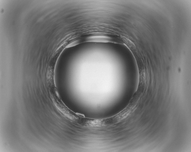 X0000086960092200704231501