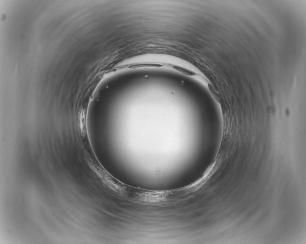 X0000086960094200704231501