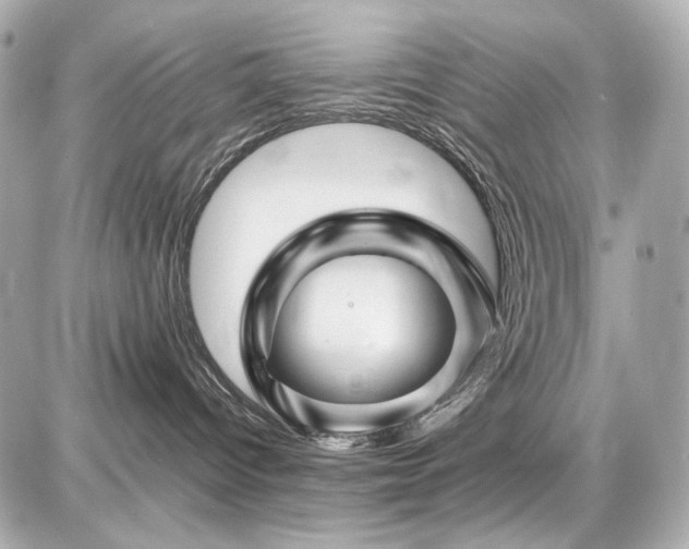 X0000086960096200704231501