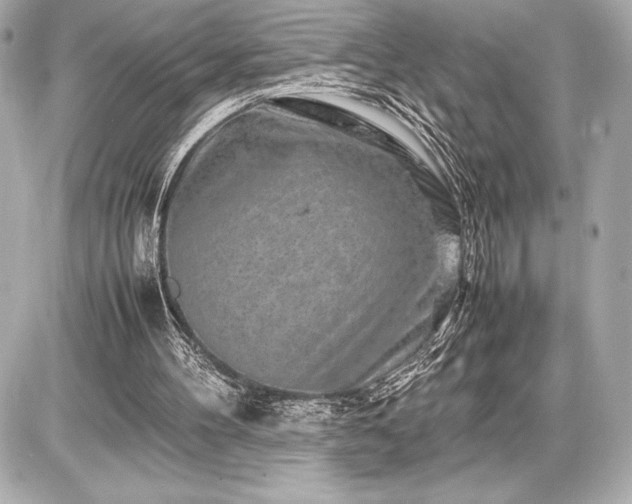 X0000086960100200704231500