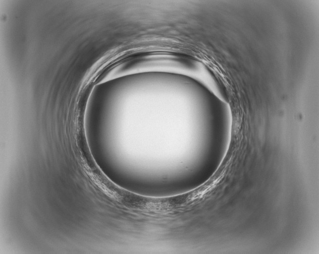 X0000086960101200704231500