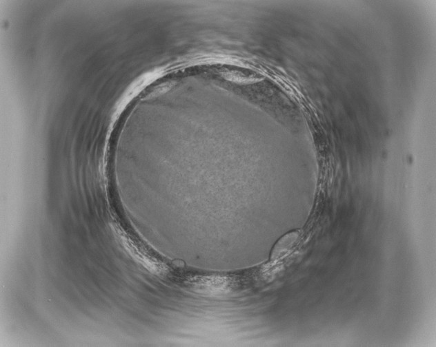 X0000086960104200704231500
