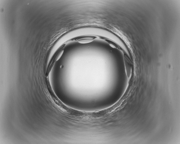 X0000086960105200704231500