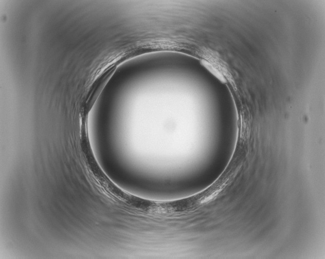 X0000086960109200704231500