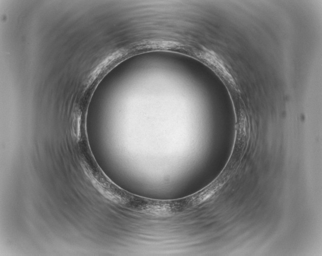 X0000086960110200704231500