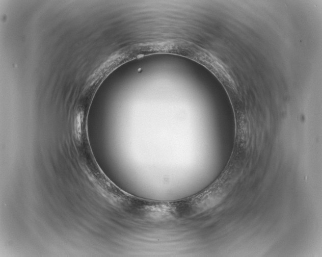 X0000086960118200704231500