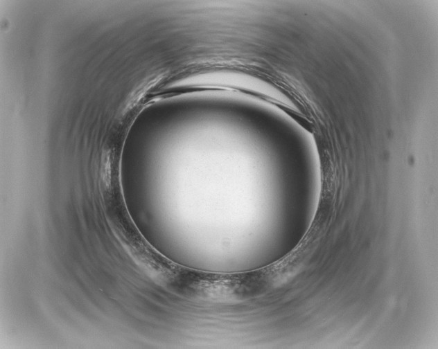 X0000086960120200704231500