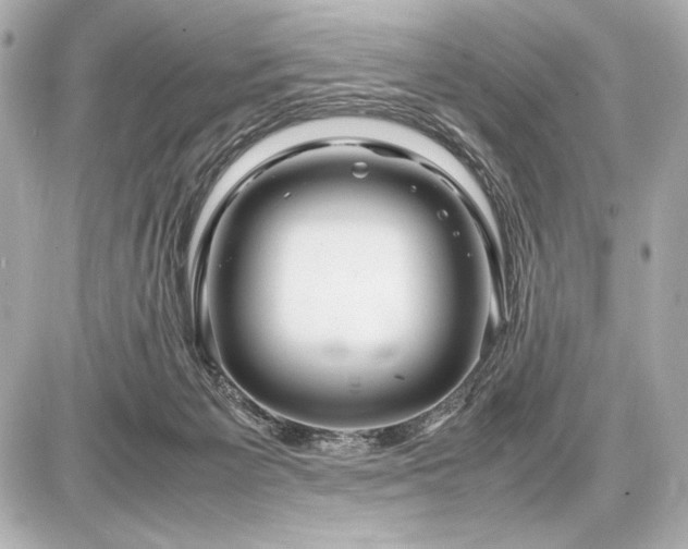 X0000086960125200704231500