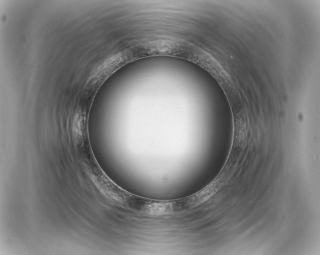 X0000086960126200704231500