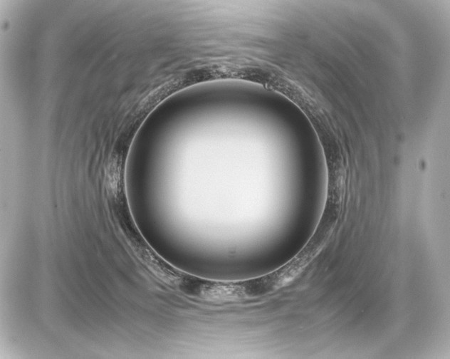 X0000086960129200704231500