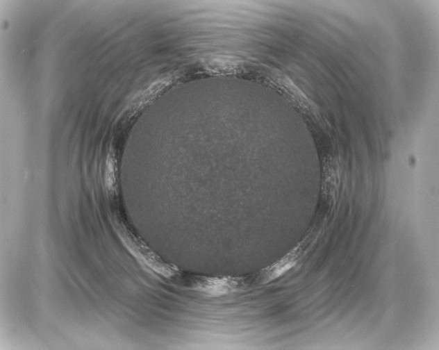 X0000086960130200704231500