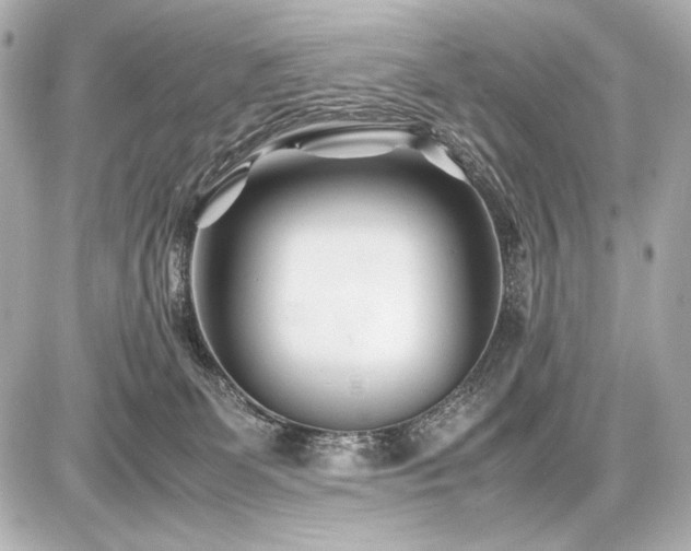 X0000086960131200704231500
