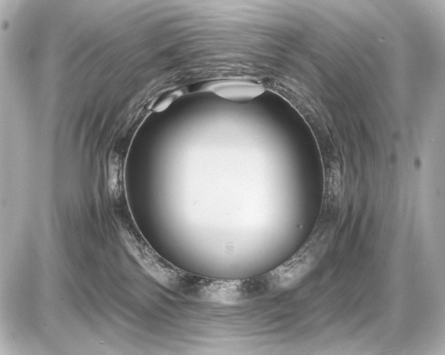 X0000086960138200704231500