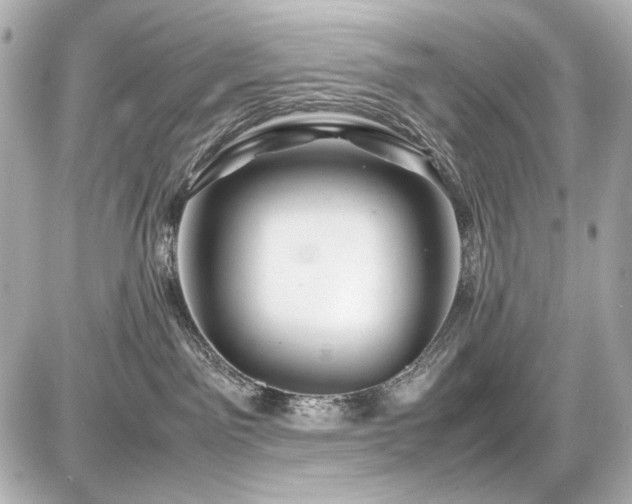 X0000086960141200704231500
