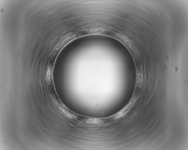 X0000086960142200704231500