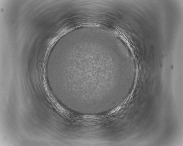 X0000086960145200704231459