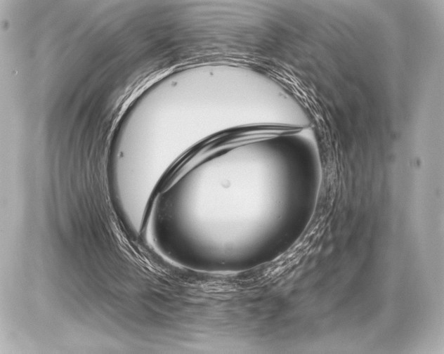 X0000086960146200704231459