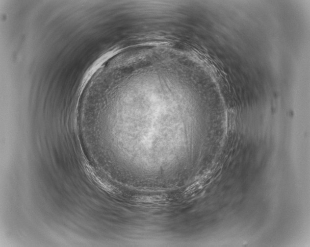 X0000086960147200704231459