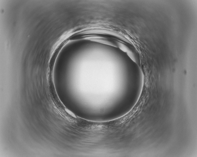X0000086960152200704231459