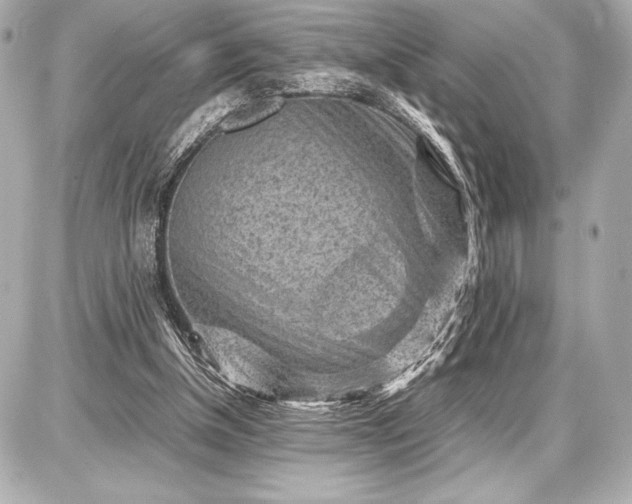 X0000086960154200704231459