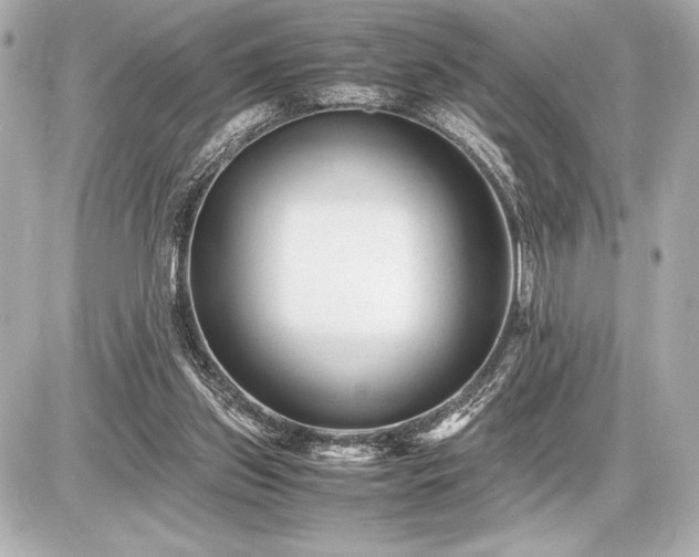 X0000086960157200704231459