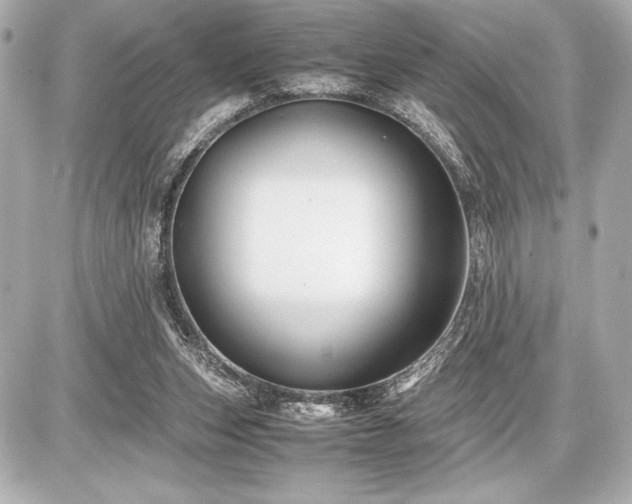 X0000086960159200704231459