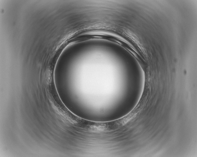 X0000086960164200704231459