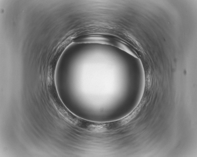 X0000086960170200704231459