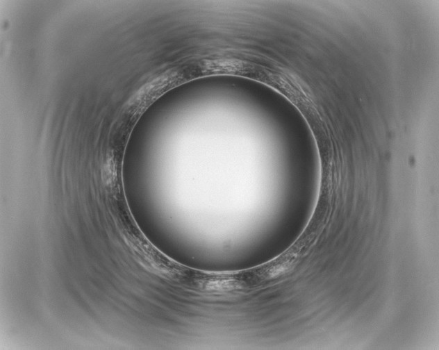 X0000086960173200704231459