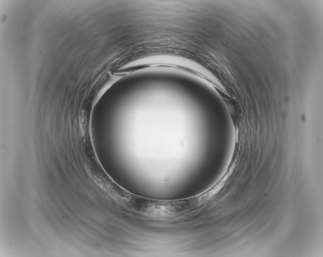 X0000086960174200704231459