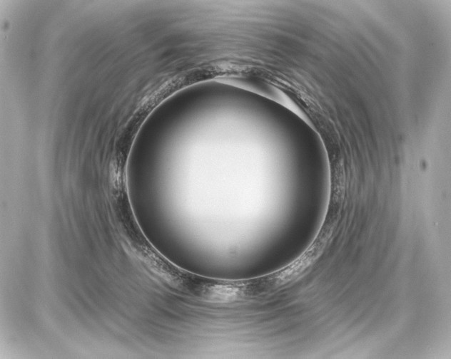 X0000086960176200704231459