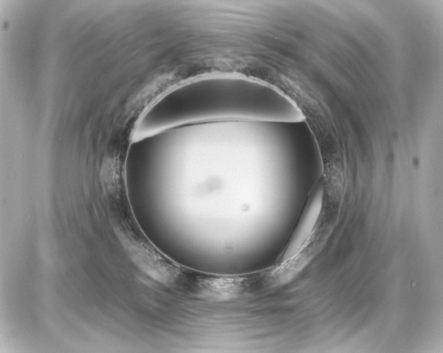X0000086960184200704231500