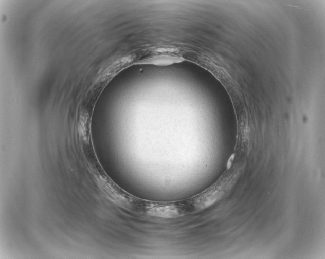 X0000086960185200704231500