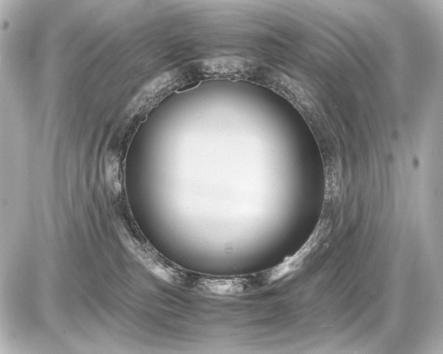 X0000086960187200704231500