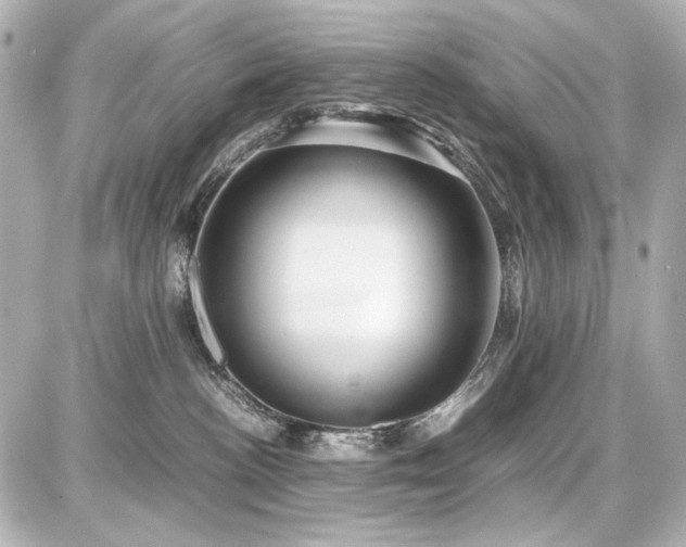 X0000086960188200704231500