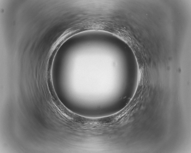 X0000086960195200704231459