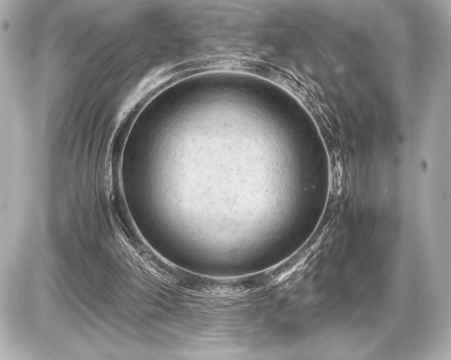 X0000086960198200704231459