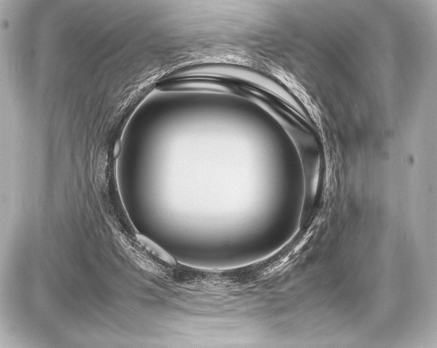 X0000086960201200704231459